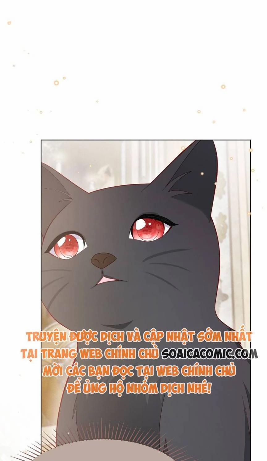 Ninita Yêu Dấu 54 trang 13