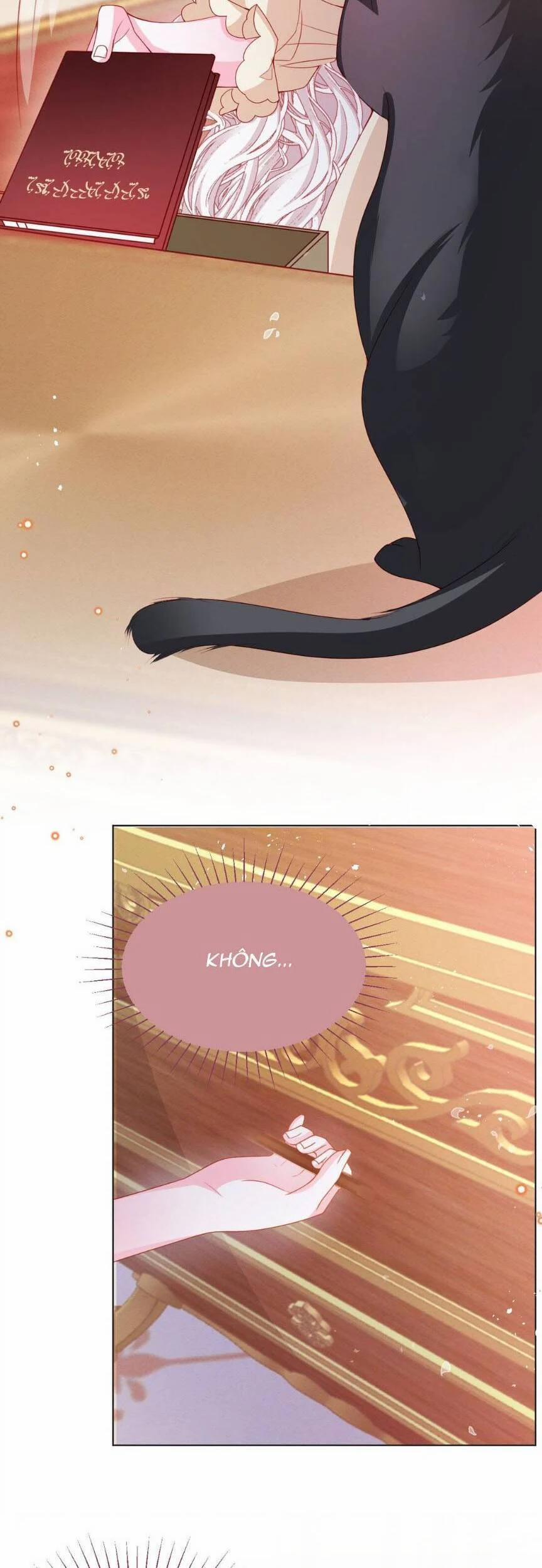 Ninita Yêu Dấu 54 trang 19