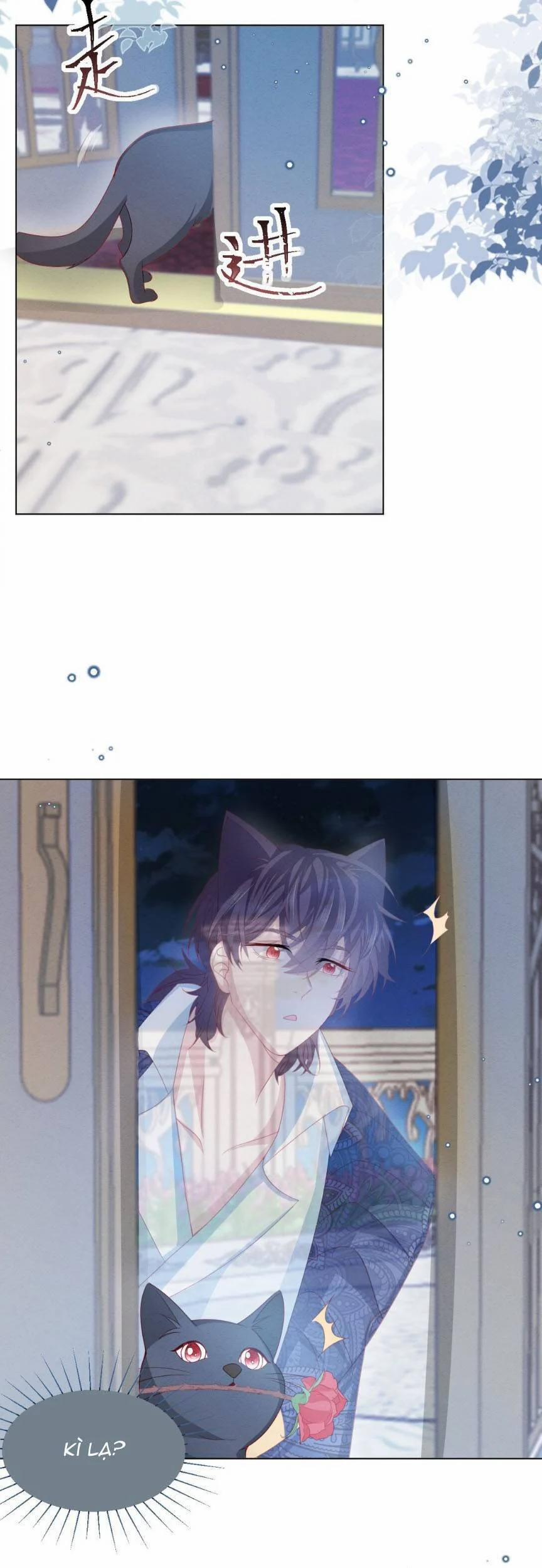 Ninita Yêu Dấu 54 trang 34