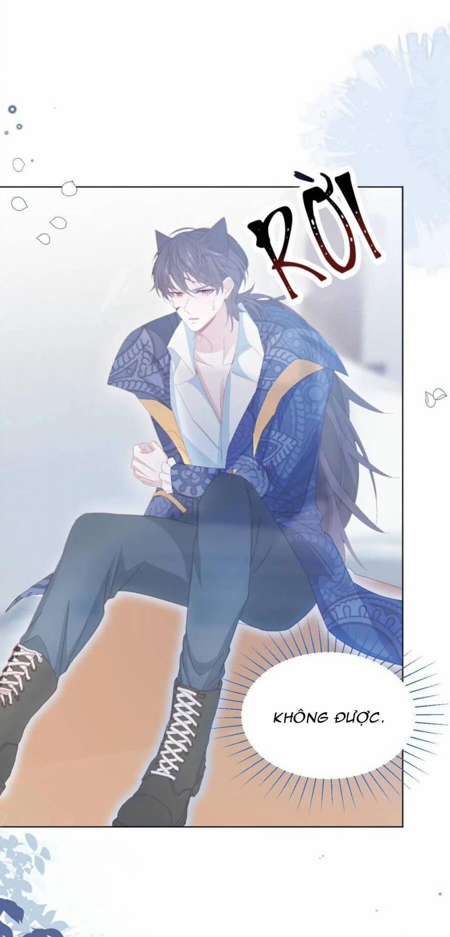 Ninita Yêu Dấu 57 trang 15