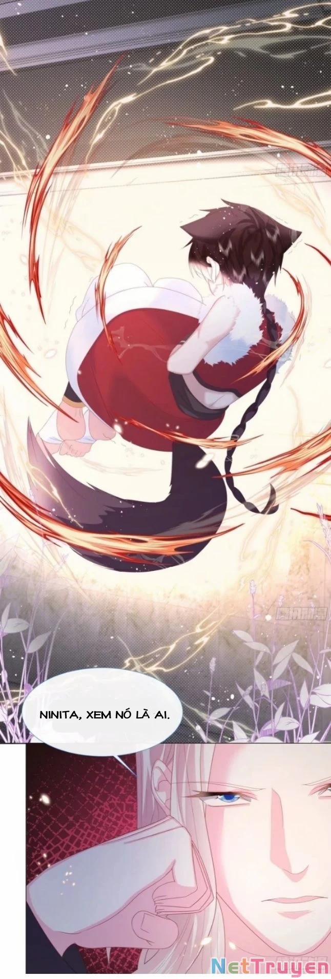 Ninita Yêu Dấu 6 trang 8