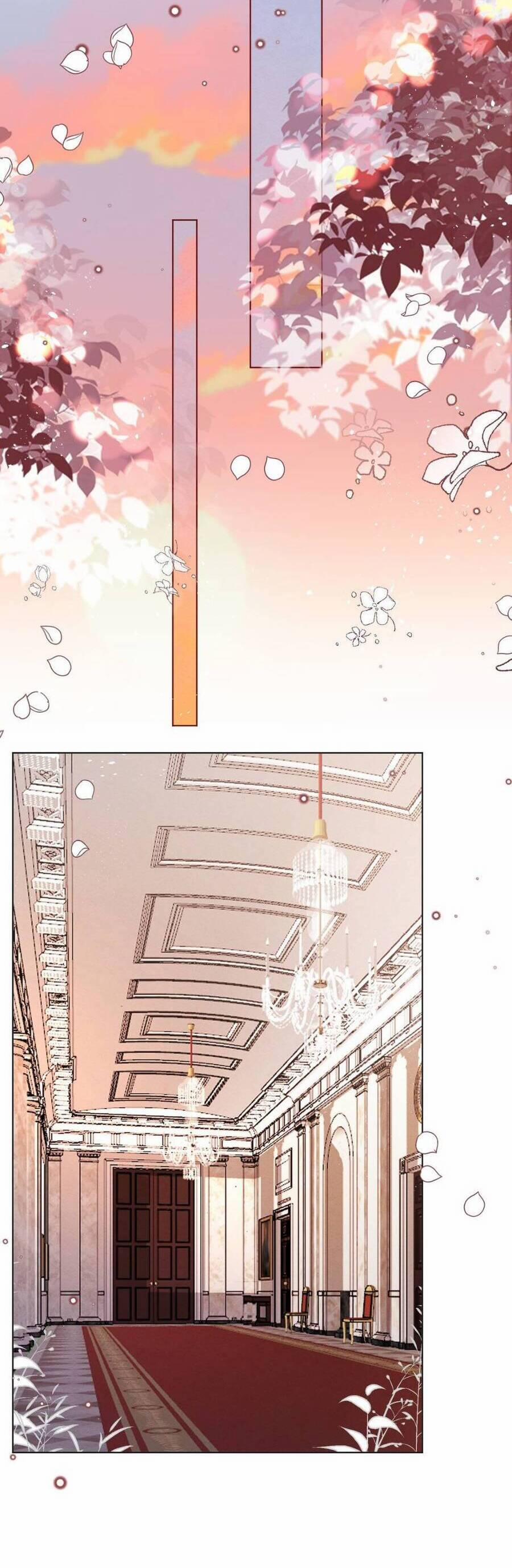 Ninita Yêu Dấu 63 trang 7