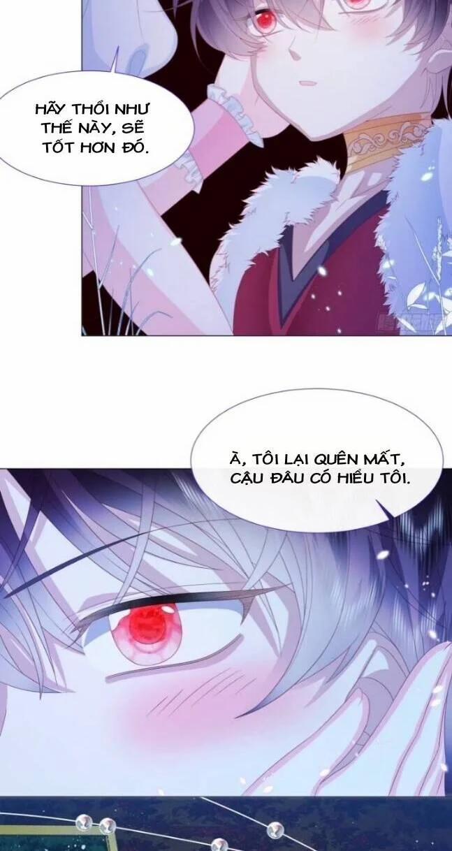 Ninita Yêu Dấu 7 trang 17