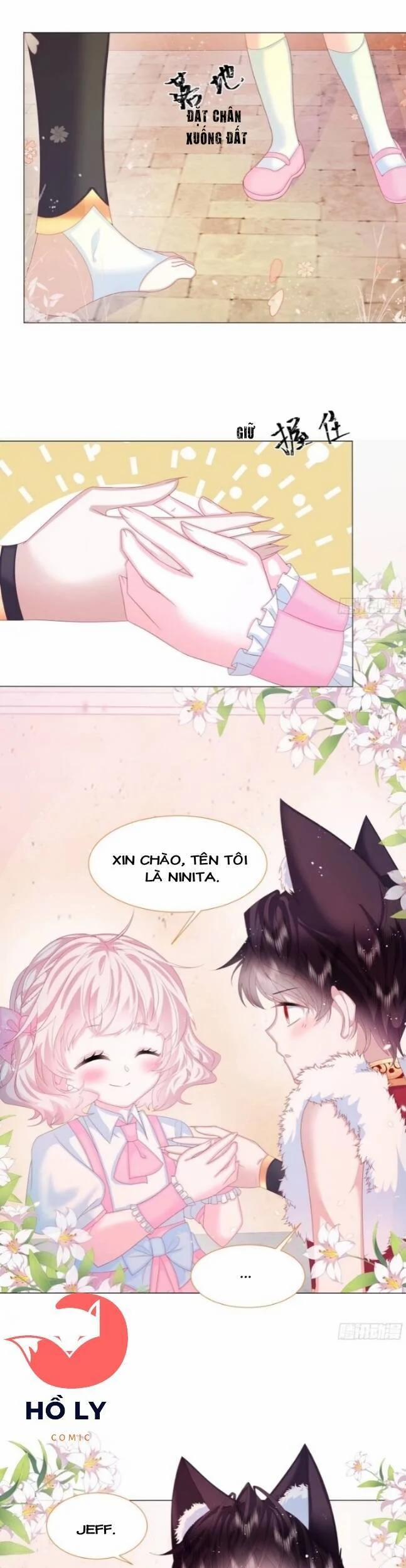 Ninita Yêu Dấu 8 trang 11
