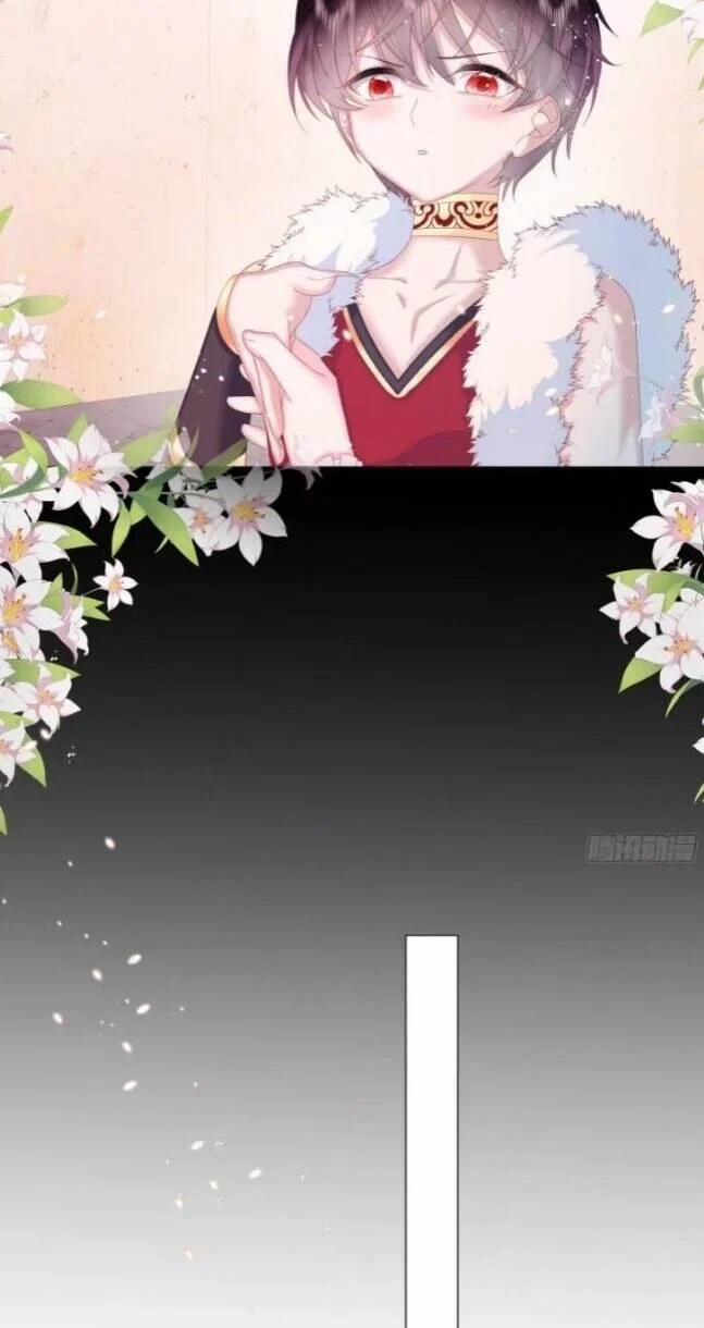 Ninita Yêu Dấu 8 trang 12