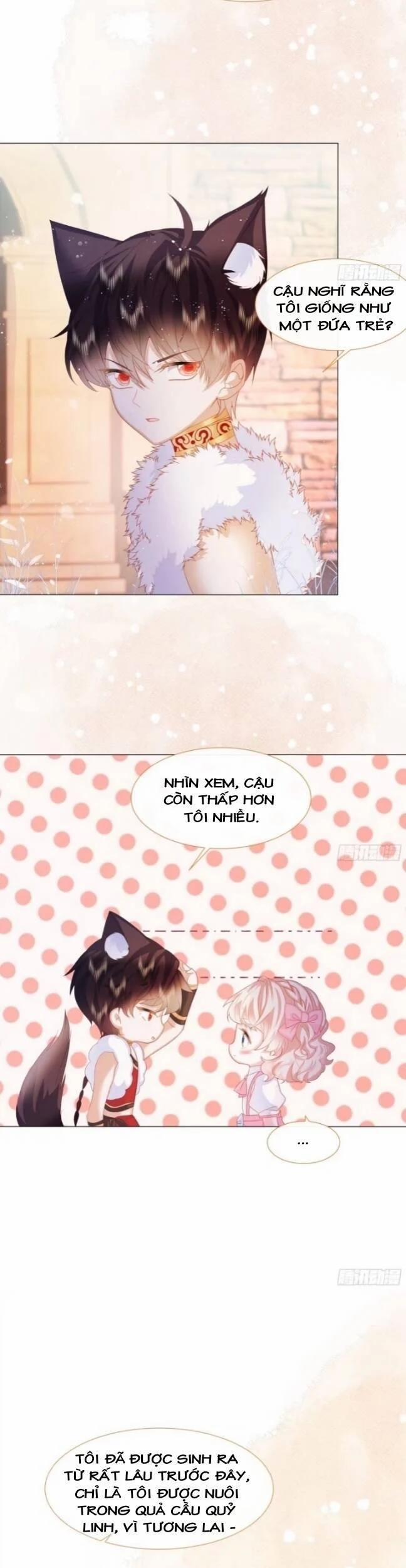 Ninita Yêu Dấu 8 trang 15