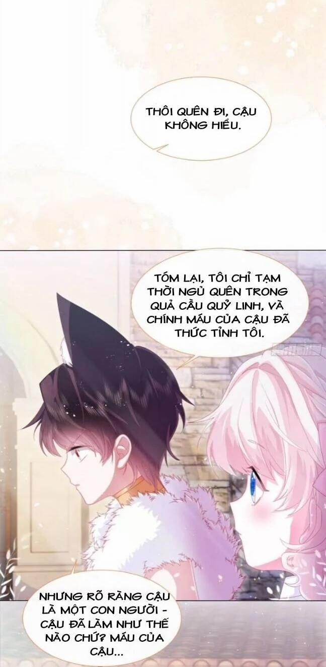 Ninita Yêu Dấu 8 trang 16