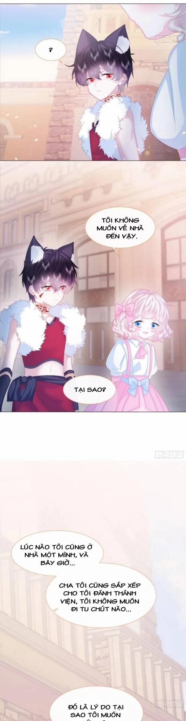 Ninita Yêu Dấu 8 trang 21