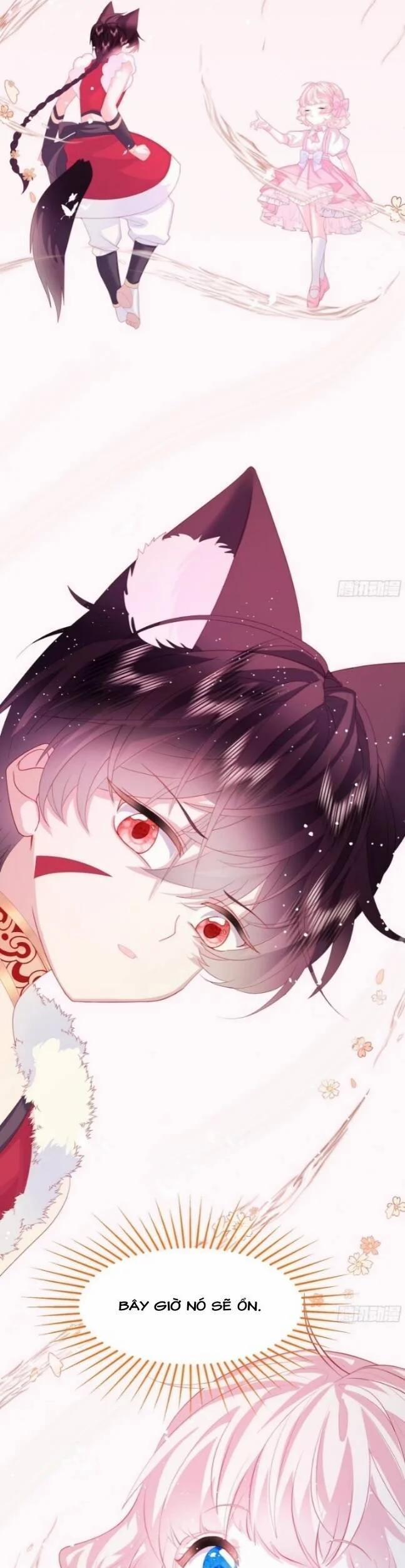 Ninita Yêu Dấu 8 trang 9