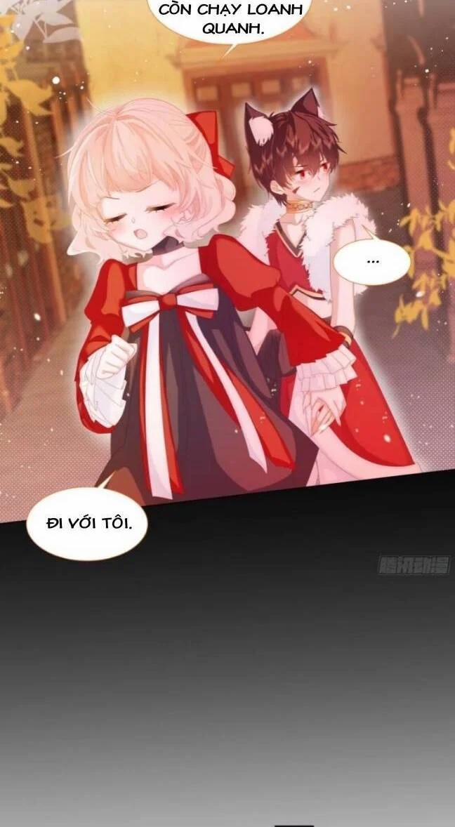 Ninita Yêu Dấu 9 trang 11