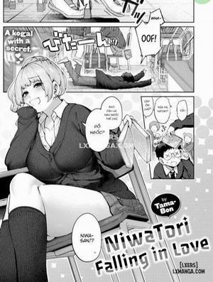 Đọc truyện tranh NiwaTori Falling in Love