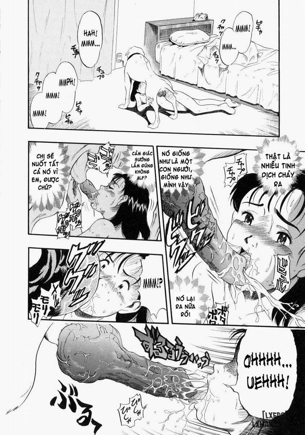 No Dog No Life 2 trang 17