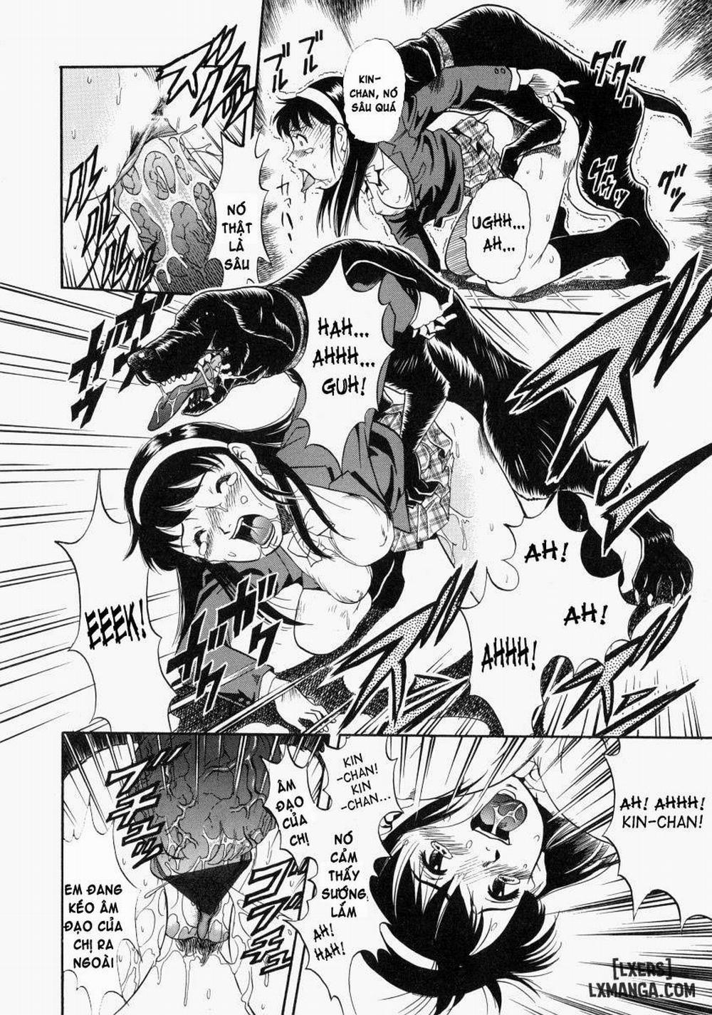 No Dog No Life 6 trang 5