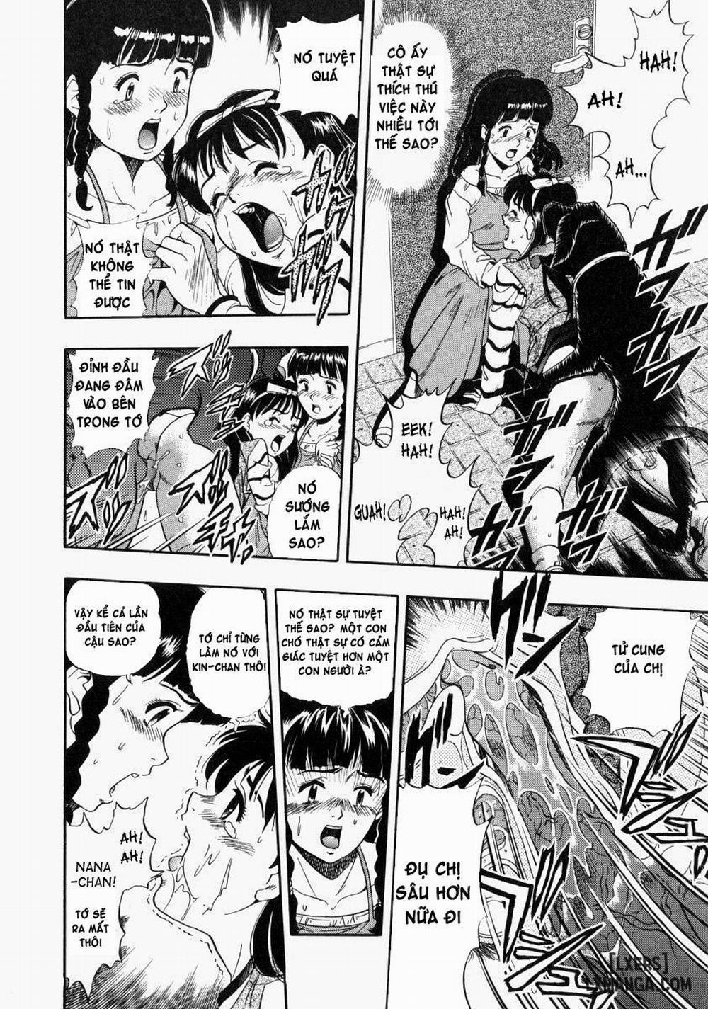 No Dog No Life 7 trang 11