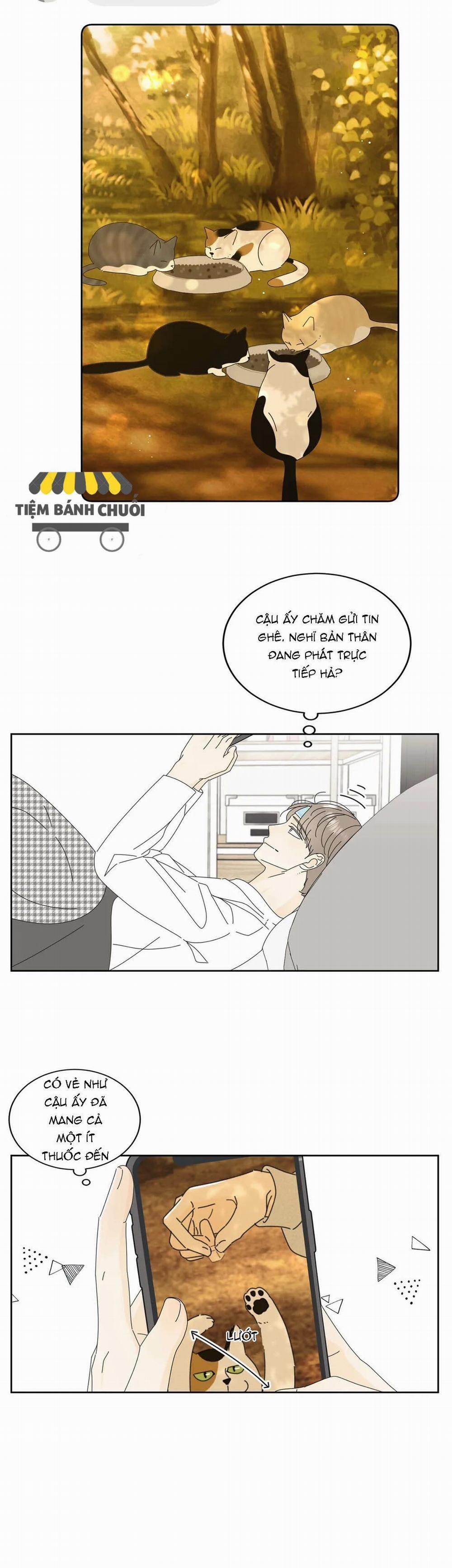 No Kidding 8 trang 4