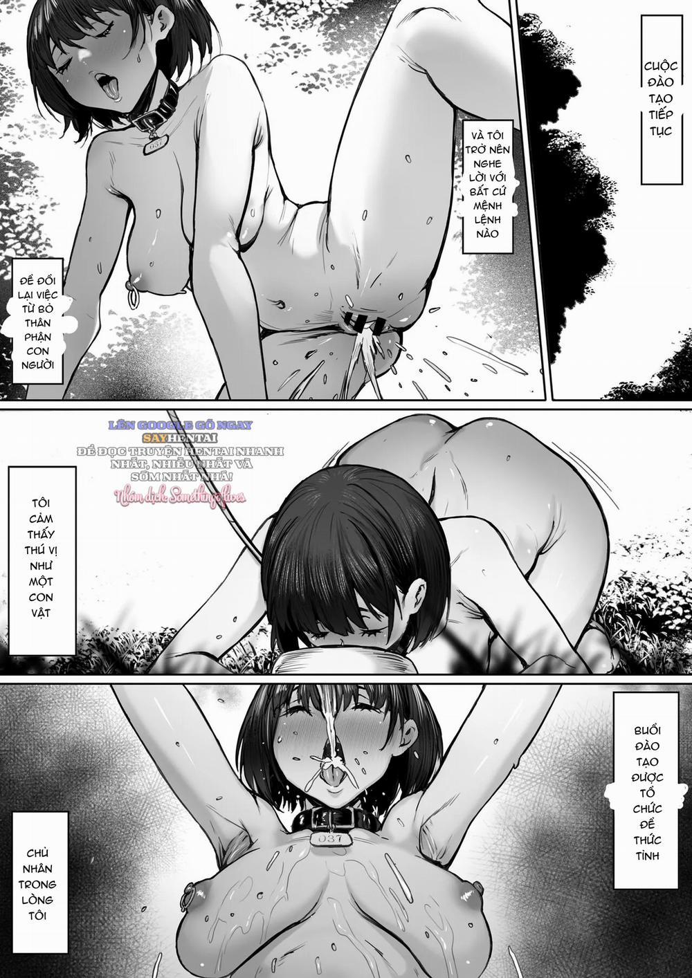 Nô Lệ Đầy Tham Vọng 3- End trang 9