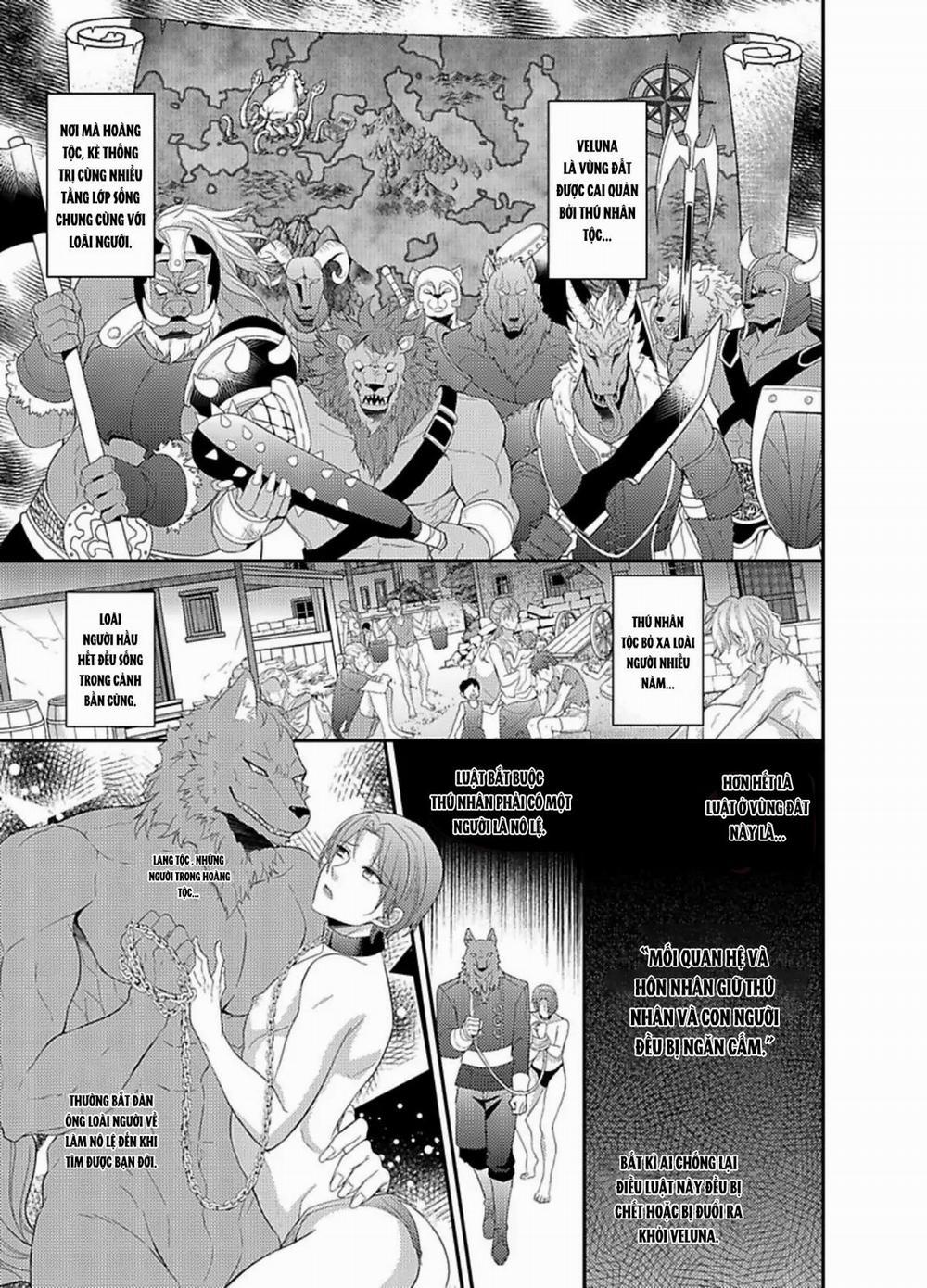 Nô lệ nhỏ ngươi đừng khóc 1 trang 2