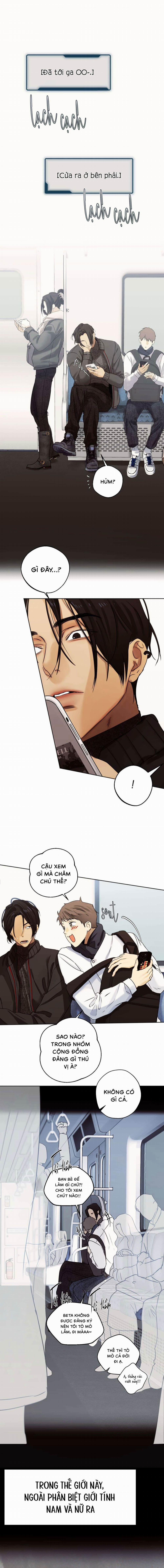 Nô Lệ Omega Sụp Đổ 1 trang 0