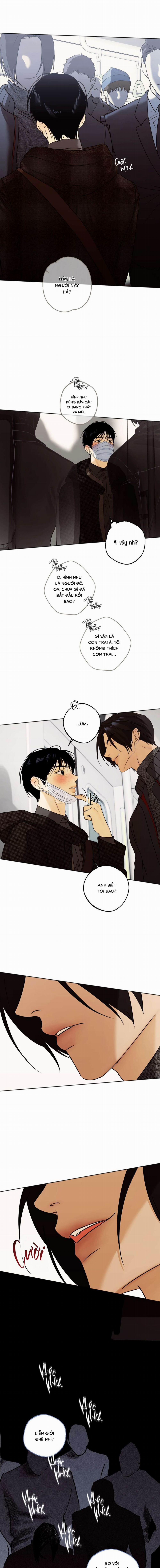 Nô Lệ Omega Sụp Đổ 1 trang 10