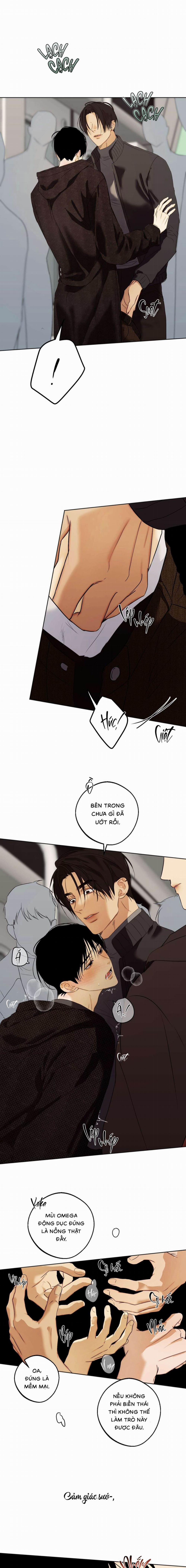 Nô Lệ Omega Sụp Đổ 2 trang 0