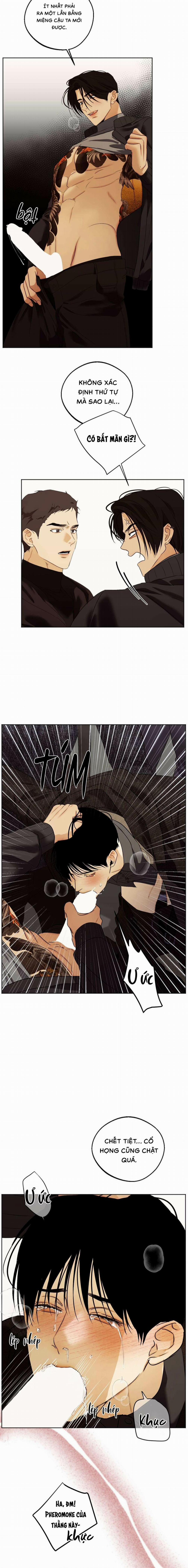 Nô Lệ Omega Sụp Đổ 2 trang 11