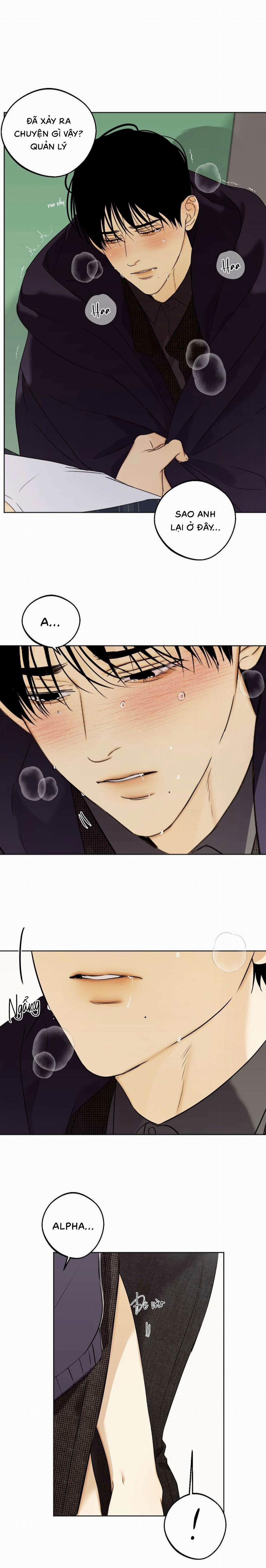 Nô Lệ Omega Sụp Đổ 3 trang 11