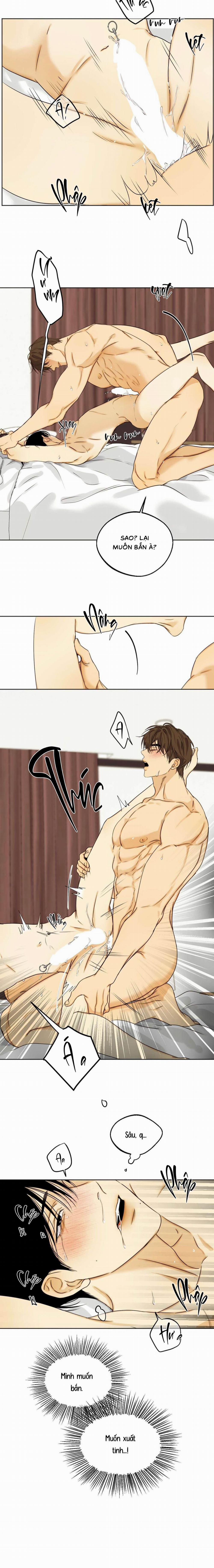 Nô Lệ Omega Sụp Đổ 4 trang 11