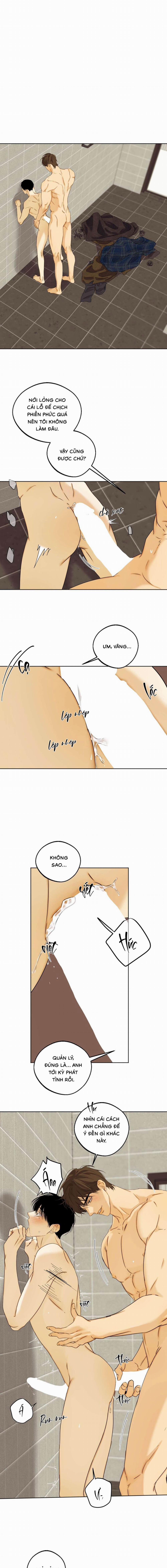 Nô Lệ Omega Sụp Đổ 4 trang 6