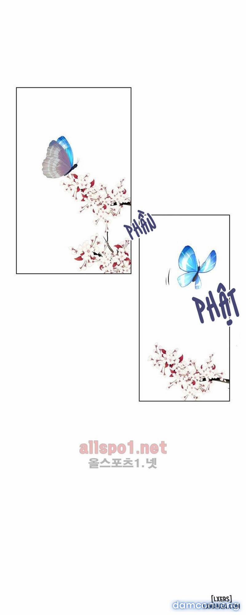 Nô Lệ Song Sinh 66 trang 24