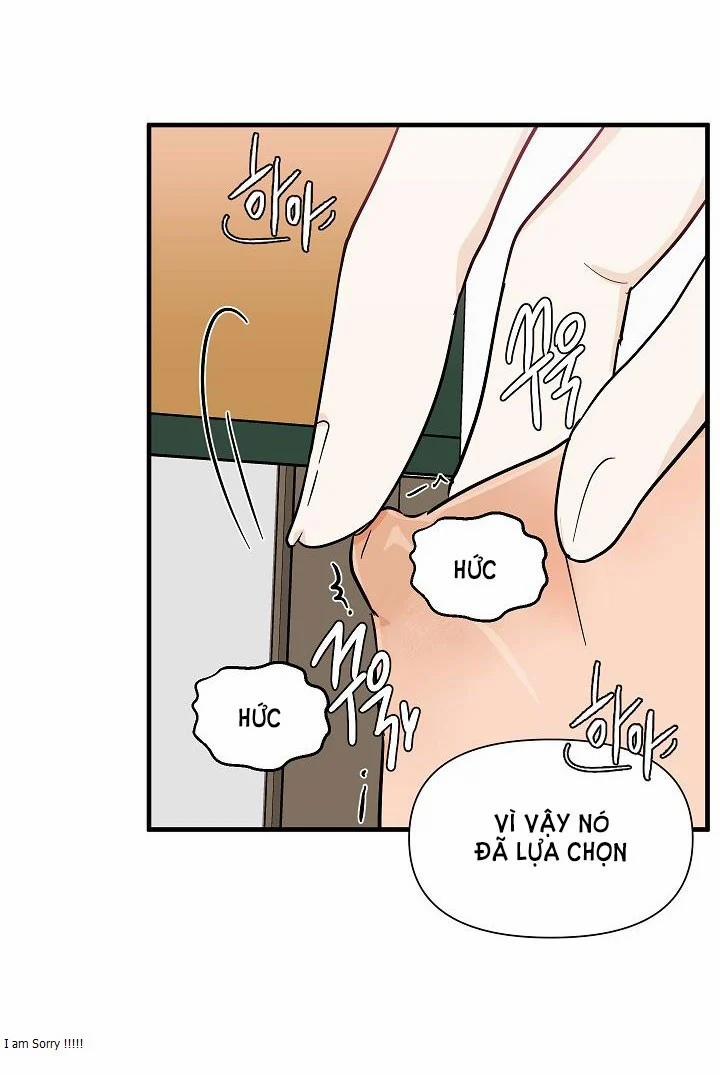 Nô Lệ 33.5 trang 19