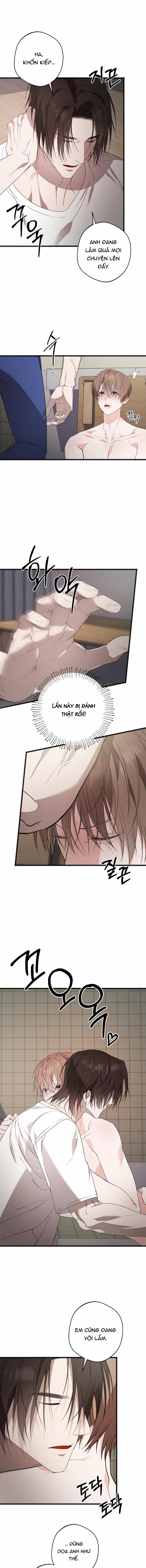 Nỗi Đau Tột Cùng 12 trang 0