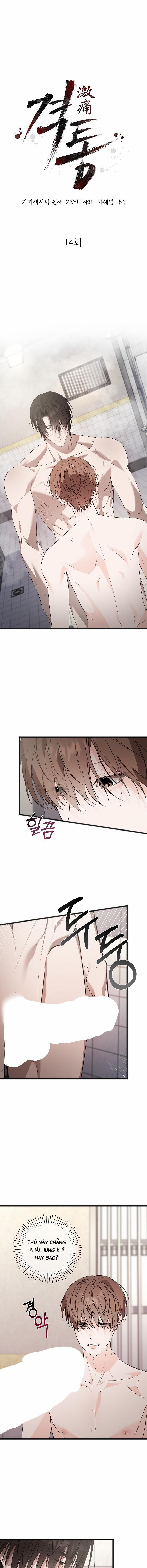 Nỗi Đau Tột Cùng 14 trang 0