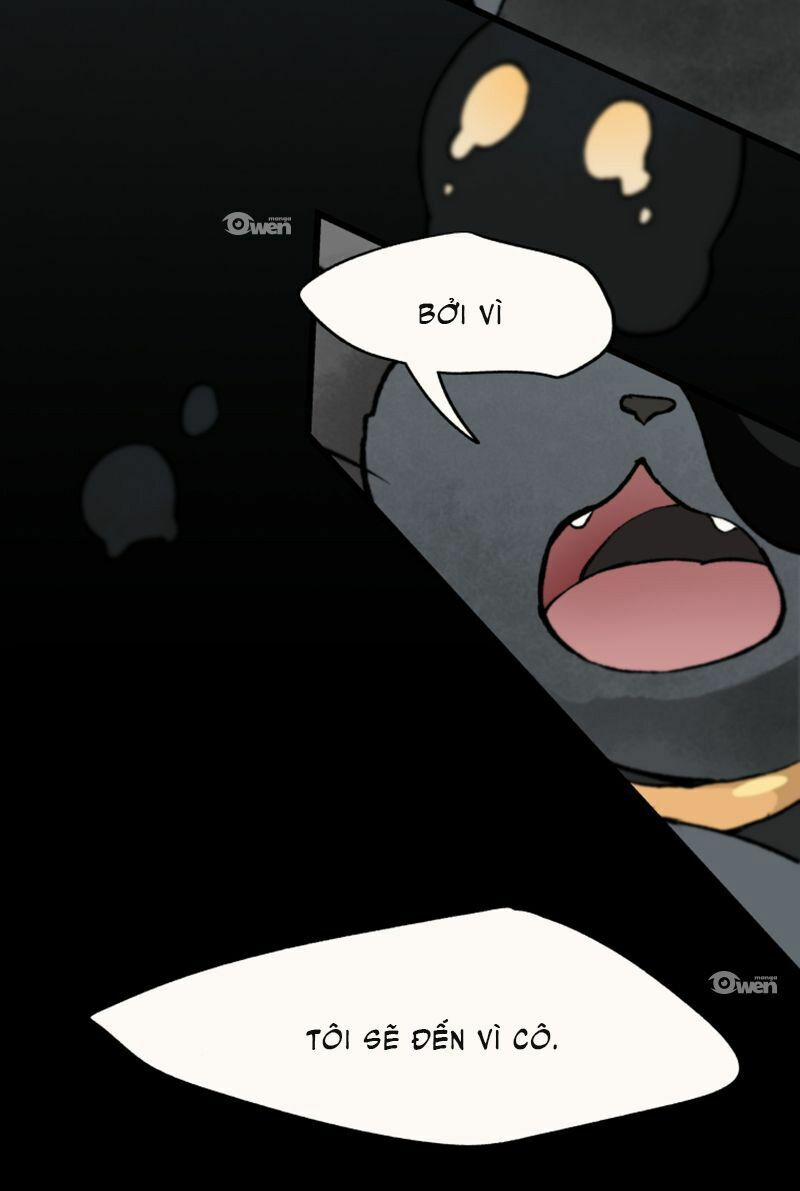 Nơi Mà Ngôi Sao Băng Rơi Xuống, Hãy Đợi Ở Đó 17 trang 10