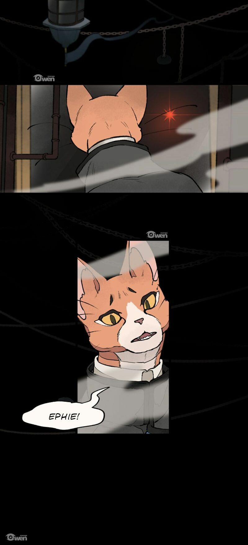 Nơi Mà Ngôi Sao Băng Rơi Xuống, Hãy Đợi Ở Đó 17 trang 13