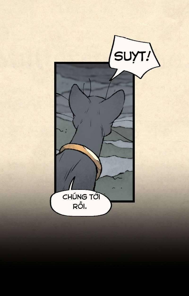 Nơi Mà Ngôi Sao Băng Rơi Xuống, Hãy Đợi Ở Đó 26 trang 43