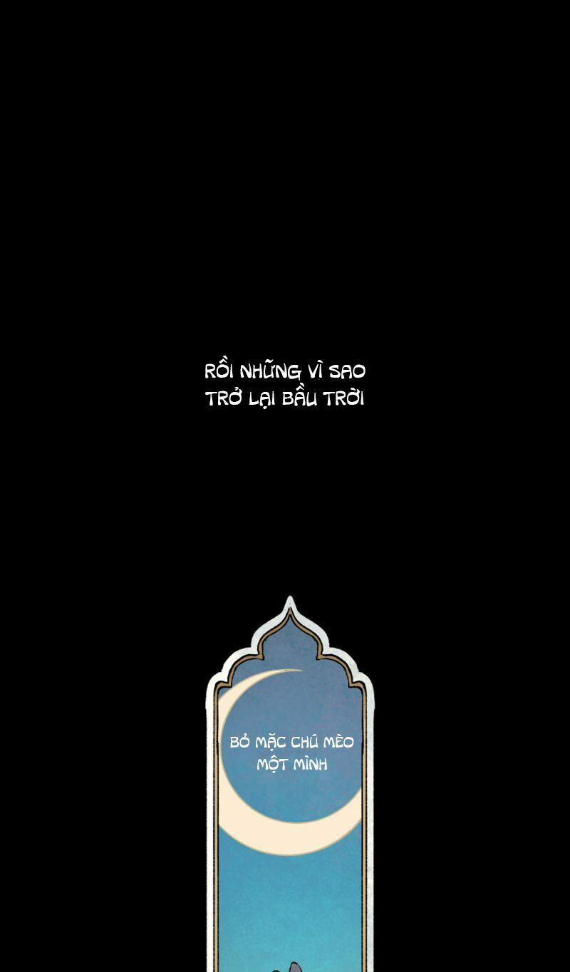 Nơi Mà Ngôi Sao Băng Rơi Xuống, Hãy Đợi Ở Đó 3 trang 44