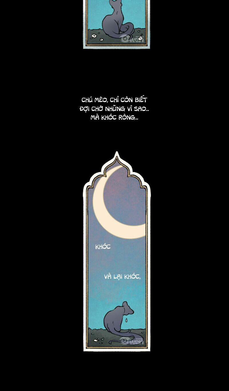 Nơi Mà Ngôi Sao Băng Rơi Xuống, Hãy Đợi Ở Đó 3 trang 45