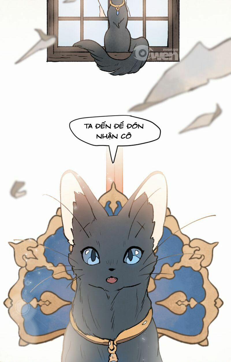 Nơi Mà Ngôi Sao Băng Rơi Xuống, Hãy Đợi Ở Đó 5 trang 52