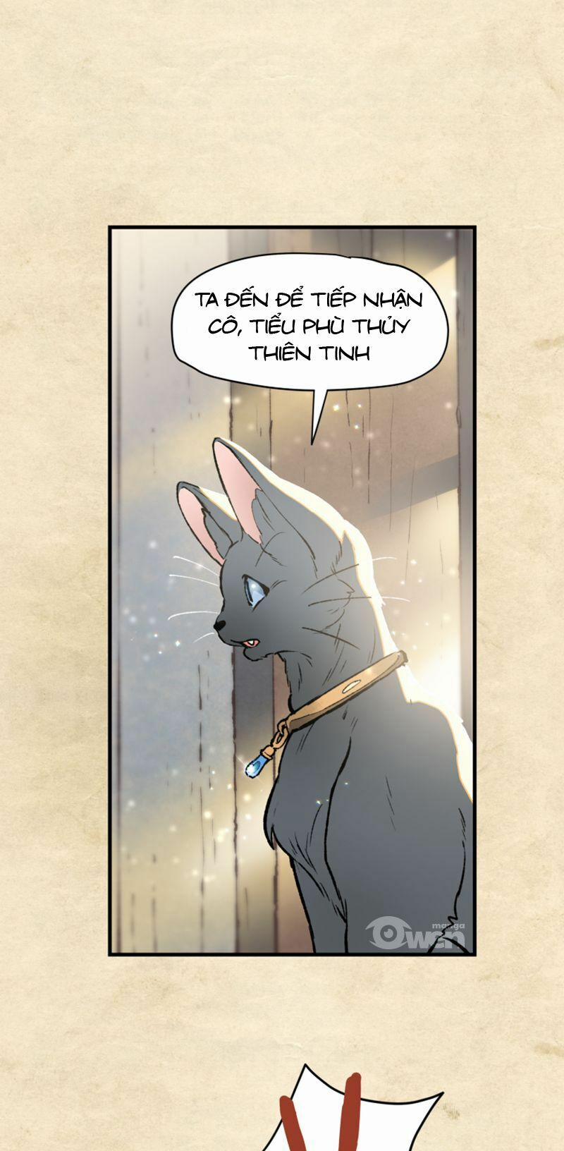 Nơi Mà Ngôi Sao Băng Rơi Xuống, Hãy Đợi Ở Đó 6 trang 2