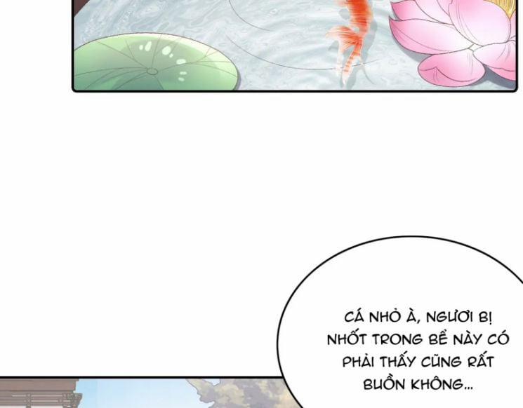 Nội Thị Mỗi Ngày Đều Muốn Cách Xa Hoàng Thượng 38 trang 47