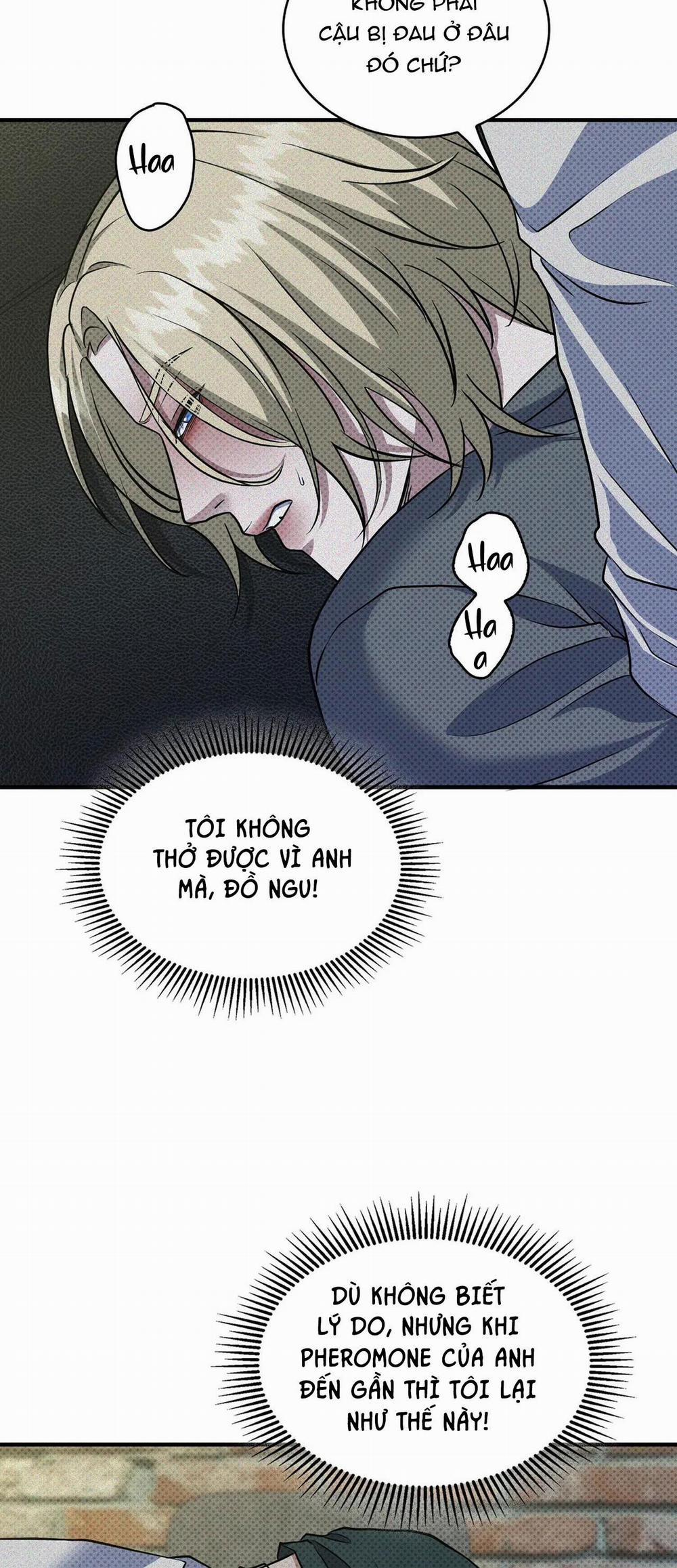 Nỗi U Sầu Của Manhattan 21 trang 28