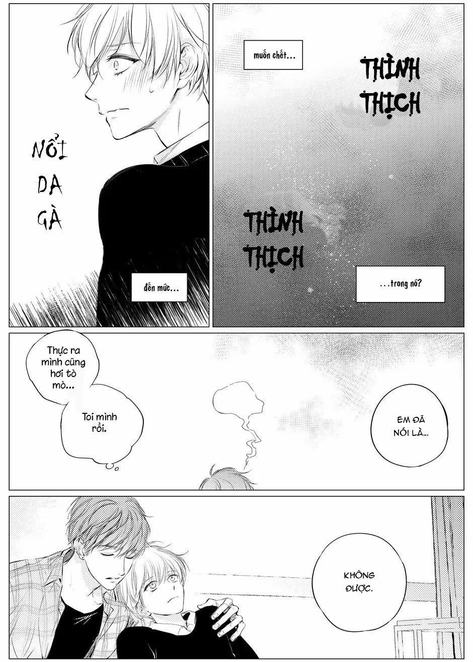 Nóng Nảy Và Dịu Dàng 3 trang 15