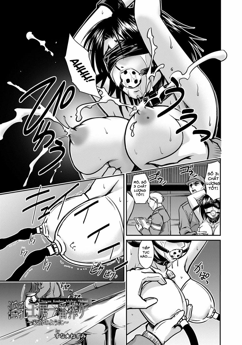 Nông trại bò sữa Oneshot trang 1