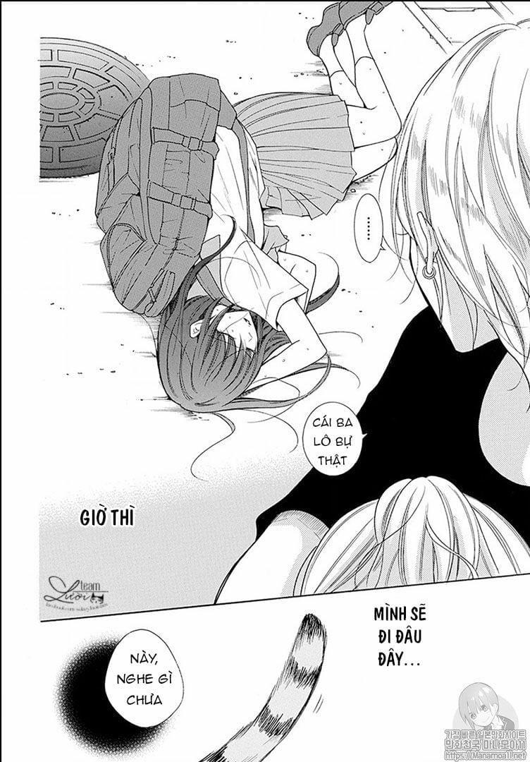 Noraneko To Ookami 1.1 trang 4