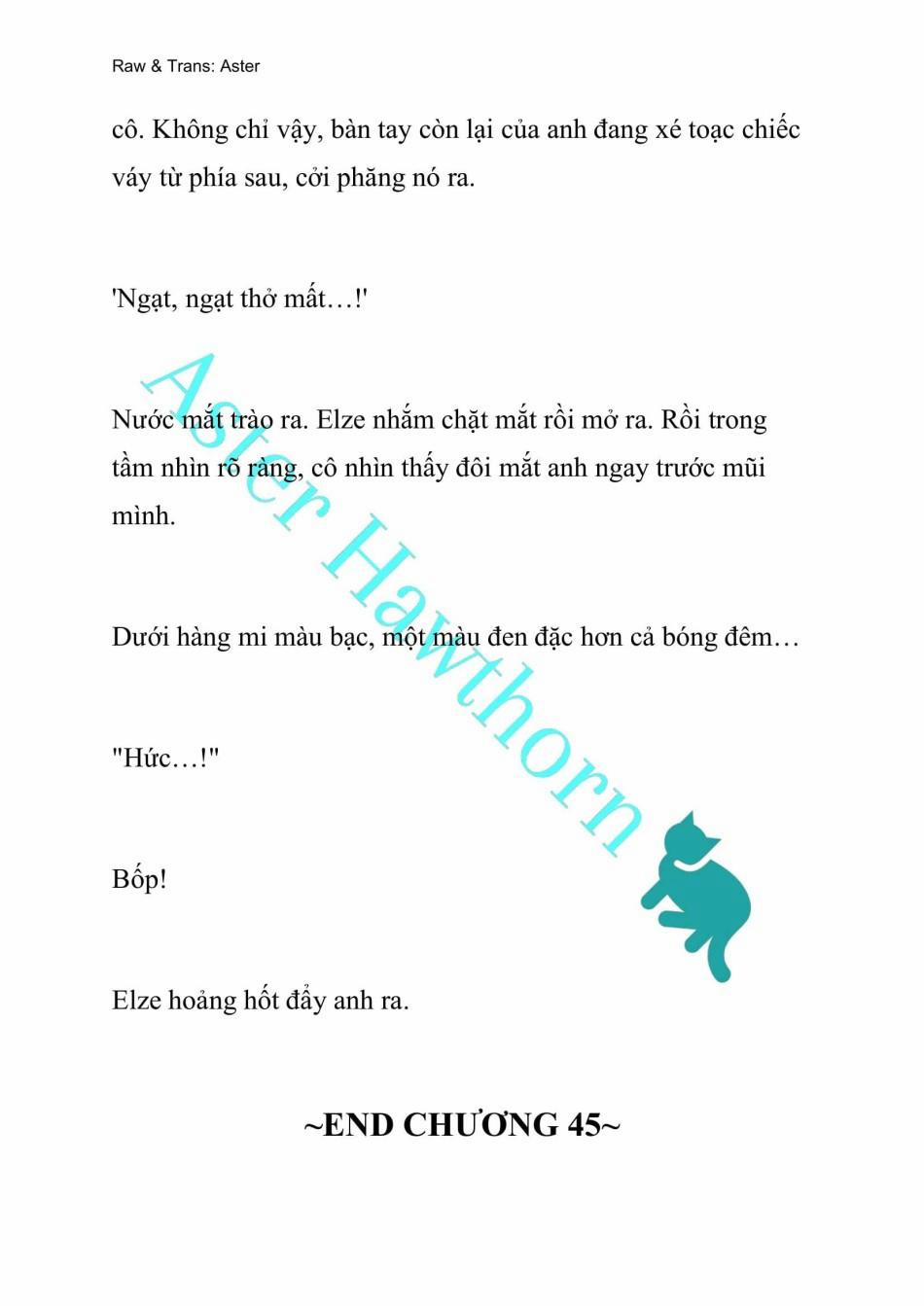 [Novel] Anh Hùng Khao Khát Sự Sa Ngã Của Thánh Nữ 45 trang 17