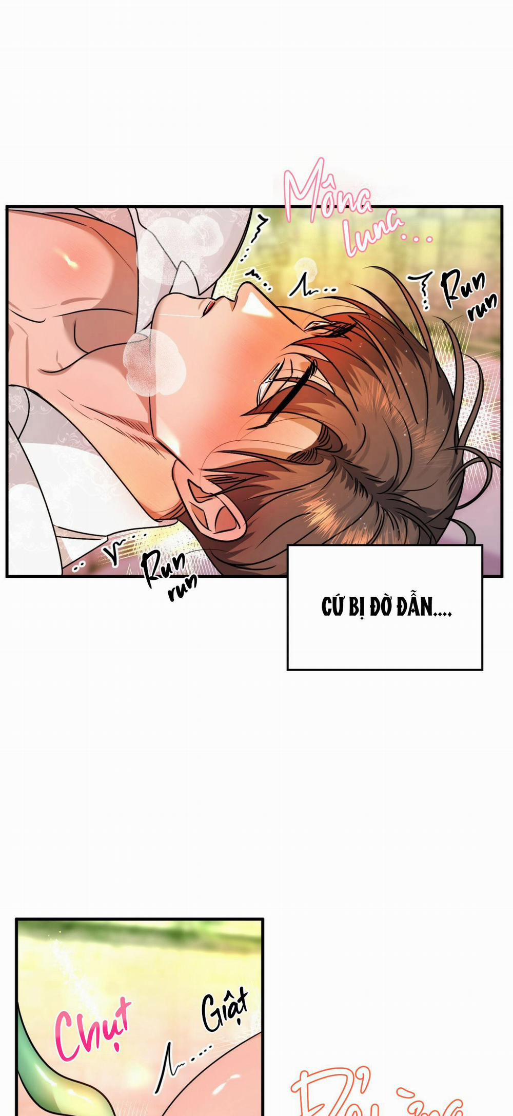 (Np) Độc Thân Muôn Năm 13 trang 40