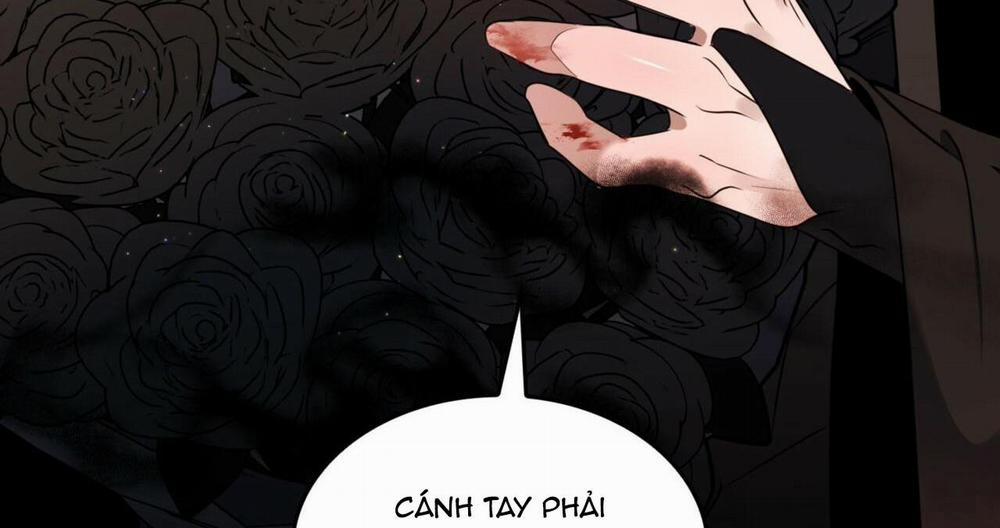 (Np) Độc Thân Muôn Năm 8 trang 52