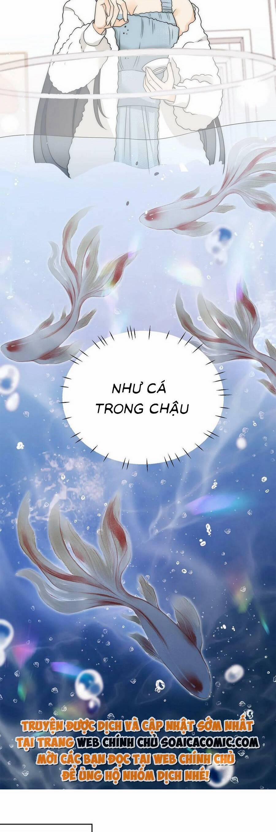 Nữ Chính Hắc Hóa Sau Trọng Sinh 23 trang 14
