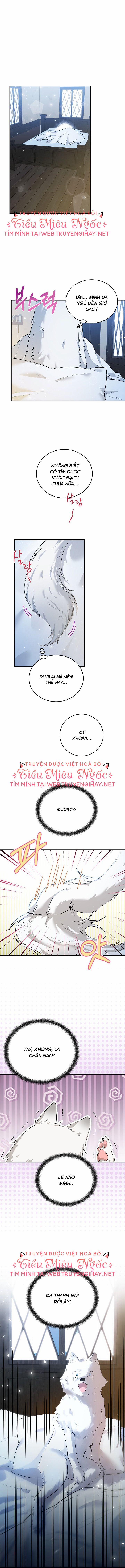 Nữ Chính Xem Tôi Giống Như Chị Dâu Của Em Ấy 20 trang 0