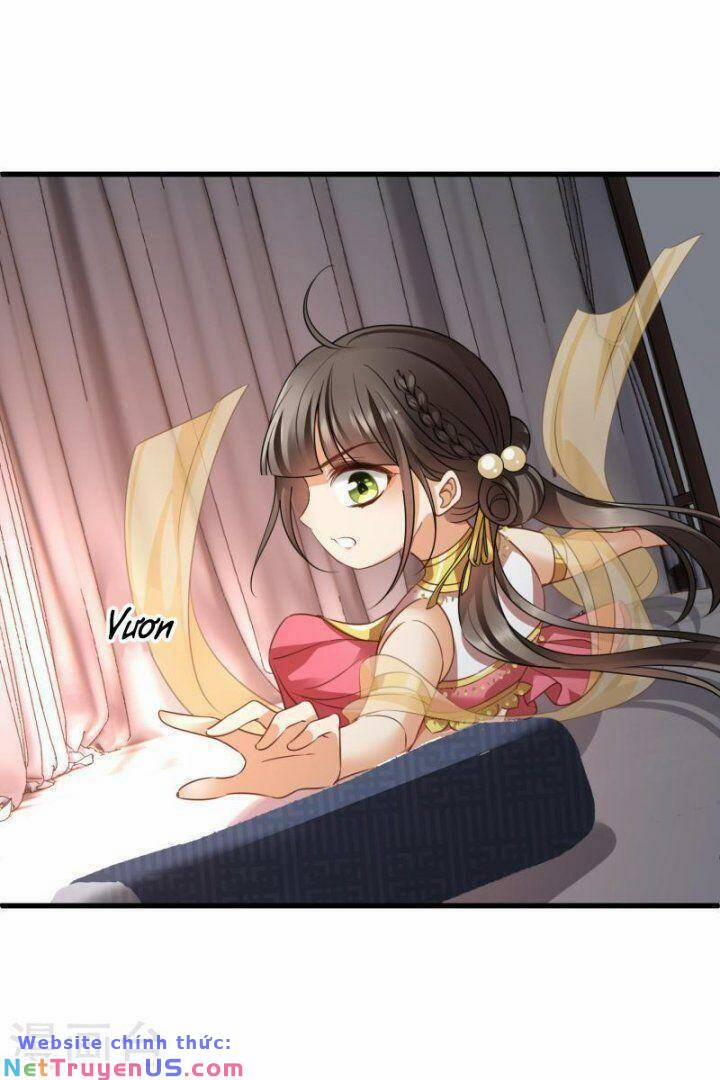 Nụ Cười Của Nàng Liền Ngọt Đảo Ta Tám Viên Nha 55 trang 5